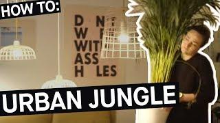 How to: Mit Zimmerpflanzen zum Urban Jungle || PULS Reportage