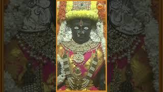 Olideyaka Gamma Lakumi | ಒಲಿದೇಯಕ ಗಾಮಾ ಲಕುಮಿ | Karunikayo | Vidyabhushana | @SVDPushpam
