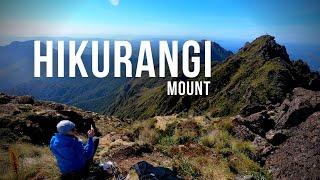 MT HIKURANGI, 1752m, Summit Climb, New Zealand, DEC 2018