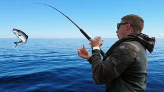 Fishing for Salmon in the Baltic Sea