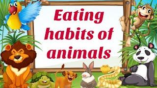 Eating habits of animals || What do animals eat || Lesson with worksheets ||