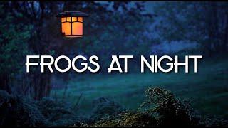 FROGS AT NIGHT | 3 HOURS OF CRICKETS AND TREE FROGS, FOR RELAXATION, MEDITATION, YOGA, STUDY, SLEEP