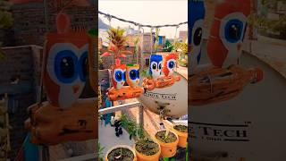 गर्मियों में पौधों के देख भाल ले लिए क्या करे #plantcare #plantlover #care #diycrafts #garden #new
