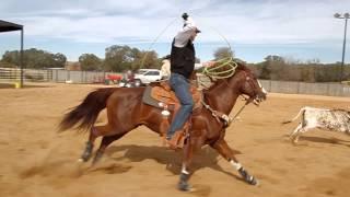 Patrick Smith | Delivery | DRIVEN | Team Roping — Heeling Tips