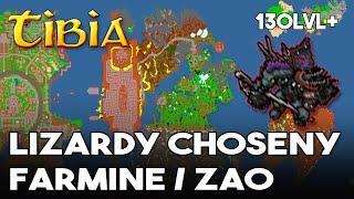 EXP I PROFIT - Tibia - Lizardy Choseny Farmine - Zao Fire Dragon Dojo / Temple of Equilibrium