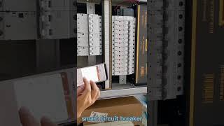How to control smart circuit breaker on the app?