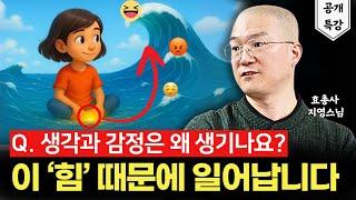생각과 감정이 일어나는 가장 원초적인 이유