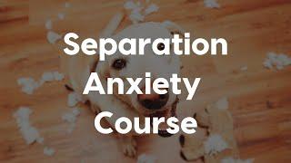 Separation Anxiety Course with Amber Aquart CPDT-KA