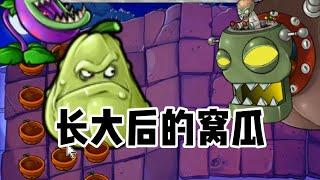Pvz：窝瓜的成长，成长使我强壮！【微弱de呐喊】