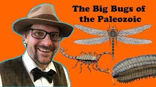 The Big Bugs of the Paleozoic!