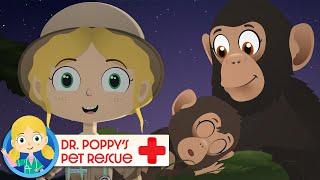 Sleep Tight Song | Doctor Poppy - Animals For Kids | Cartoon Animals