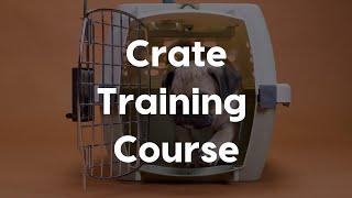 Crate Training Course with Amber Aquart