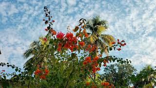 Nature's beauty  sky One and only