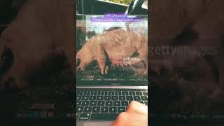 EASY $500 PROFIT  IN MINUTES