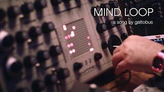 "Mind Loop" a song by gattobus (Erica Synths SYNTRX)