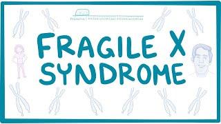 Fragile X Syndrome - causes, symptoms, diagnosis, treatment, pathology