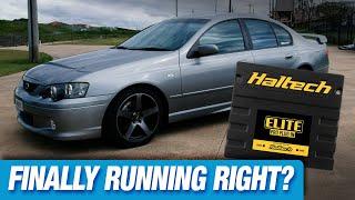 Is the BA XR6T Finally Running Right? Plus a look into it's Haltech brain!