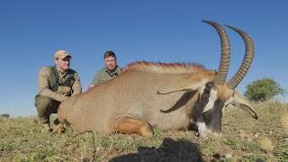 Matt's Roan Antelope Expedition: Thrilling Pursuit with Africa Maximum Safaris