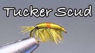Tucker Scud Fly Tying Instructions by Charlie Craven