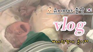 제왕절개출산 브이로그ㅣ강남차병원특실 제왕절개후기ㅣ나도 이제 엄마랍니다:)