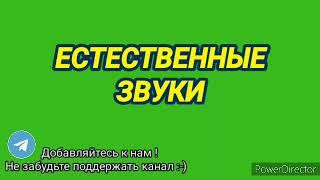 339. Ответ шумным соседям естественными звуками