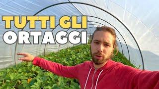 TUTTO QUELLO CHE PUOI COLTIVARE A GIUGNO, Giro nell'Orto
