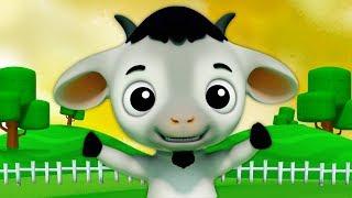 Baby Goat | Kindergarten Nursery Rhymes Videos |  Cartoon For Children by Kids Baby Club