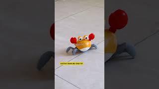 Toyshine Cute Walking Moving Dancing Crab #toyshine #toys #shorts
