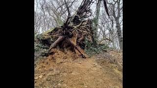 Rondje omgeving Schin op Geul, Oud Valkenburg.       6/2/2024.