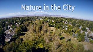 Out of the Box - Nature in the City