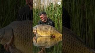  Cóż za niesamowita wycieczka nad Jezioro Gosławickie!! | Łowienie karpia | Duży Karp | Wędkowanie w Polsce