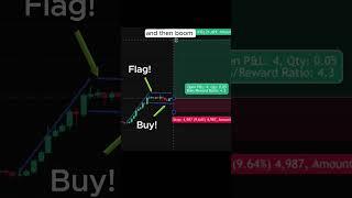 The Flag Pattern That Prints Money  #shorts #trading #tradingstrategy #crypto #tradinghacks