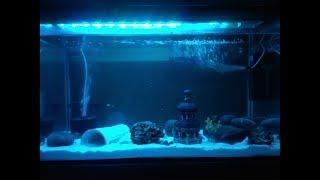 Setting up my first ever Aquarium - TimeLapse