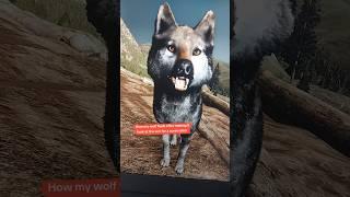 My wolf may be blind in a few years  (WolfQuest tik tok)