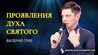 Валерий Гриб. Проявления Духа Святого