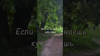 Про ЖИЗНЬ #психология #жизнь #стратегия #развитие #счастье #мастерская_жизни_марии_сергеевой