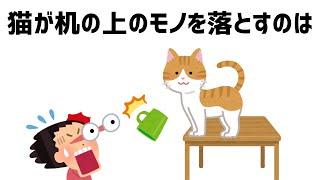 猫の不思議な行動の雑学 #雑学 #猫 #不思議