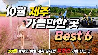 The peak of autumn!ㅣ Best place to visit in Jeju Island in October that you'll regret if you miss it