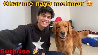 Ghar mai aya naya mehman  || Adarsh singh vlogs