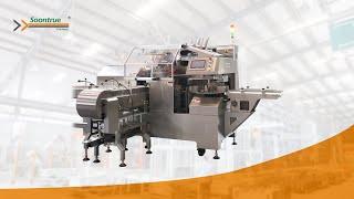 Soontrue Rotary Horizontal Premade Pouch Packing Machine