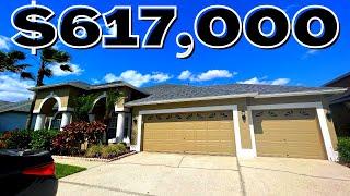 Tampa, Florida | Spacious Pool Home | Pebble Creek | New Tampa