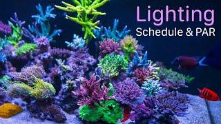 Blade and Radion Lights, Schedule and PAR In 3 Different Reef Aquariums