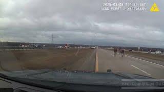 Sheriff's deputies help wrangle horses on M-6