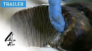 Woolly Mammoth: The Autopsy | Sunday, 8pm | Channel 4