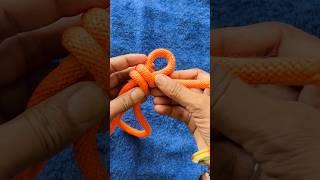 World’s Brilliant Knot