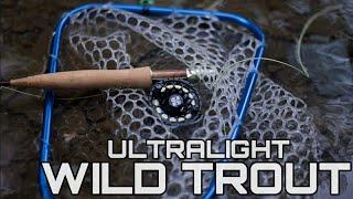 Fly Fishing for Beautiful Wild Small Stream Trout on Ultra Light Fly Tackle