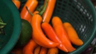 Hot Chili Peppers and other peppers seen in Thai Food Market, Bangkok