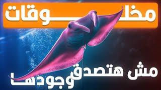 مخلوقات مش هتصدق إنها موجودة