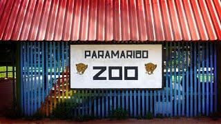 Paramaribo Zoo(2016) - Vlog