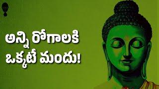 BUDDHISM IN TELUGU : అన్ని రోగాలకి ఒక్కటే మందు! Philosophy in telugu || Think Telugu Podcast